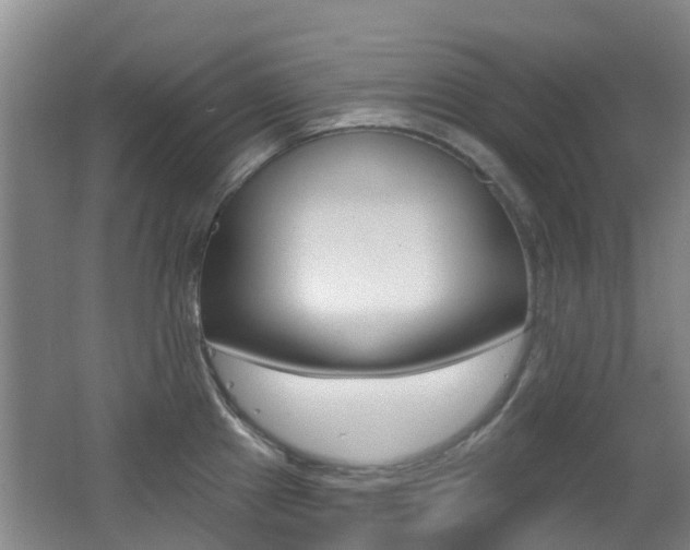 X0000062641241200512210959