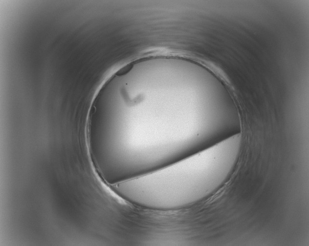 X0000062641247200512210959