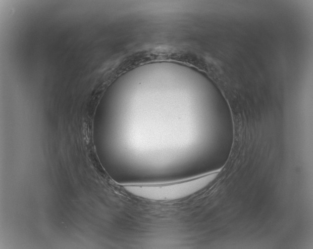 X0000062641253200512210958
