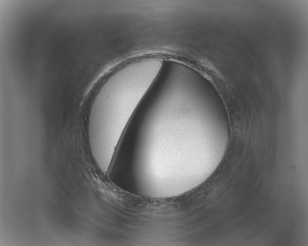 X0000062641256200512210958