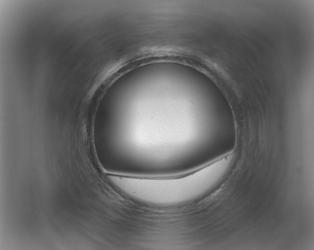 X0000062641261200512210958
