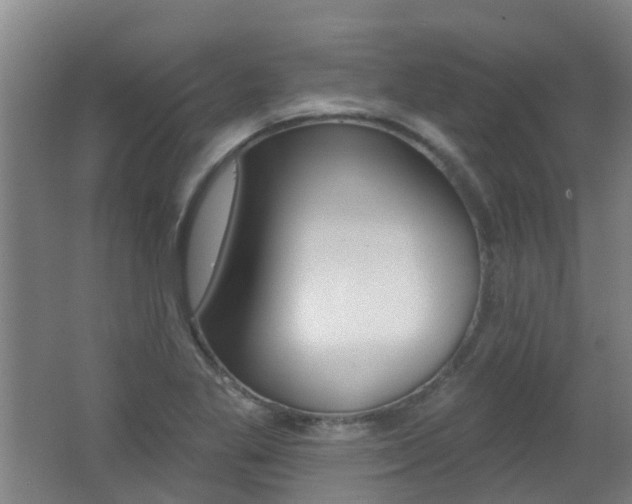 X0000062641269200512210958