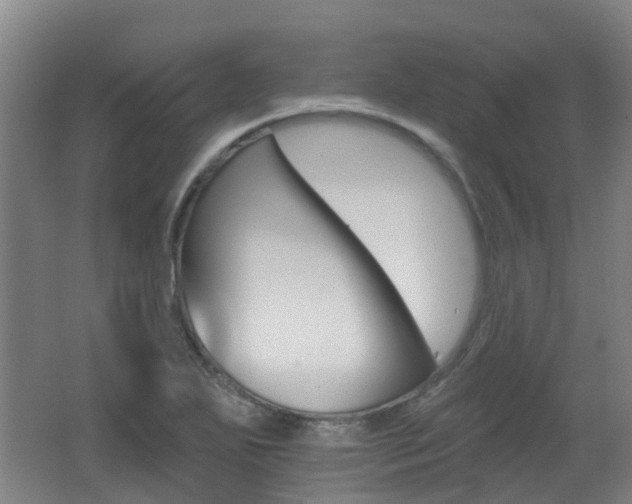 X0000062641271200512210958