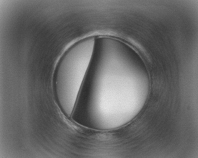 X0000062641272200512210958