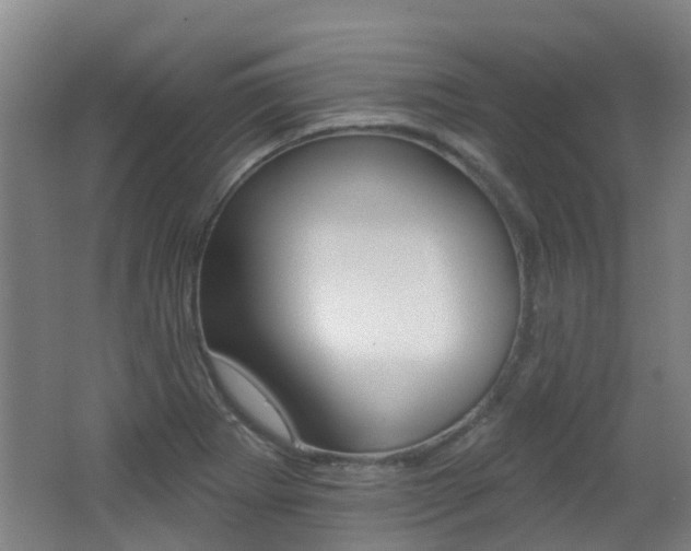 X0000062641273200512210958
