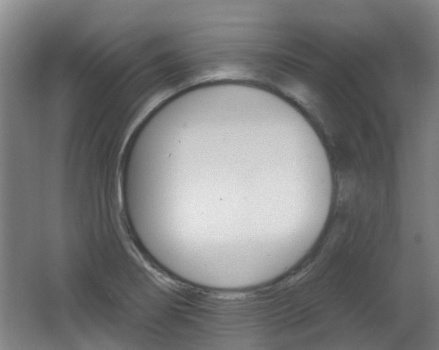 X0000062641274200512210958