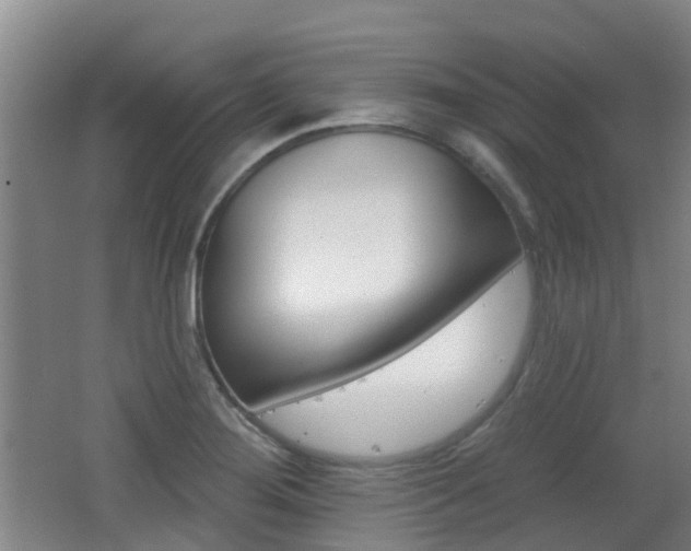 X0000062641276200512210958