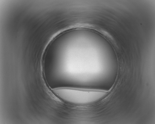 X0000062641280200512210958
