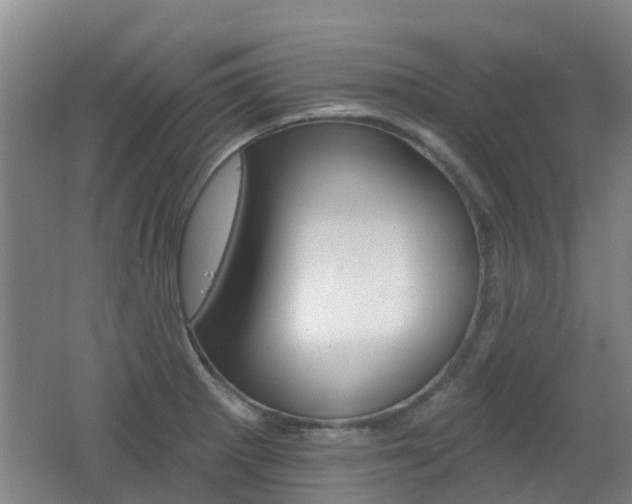 X0000062641281200512210958