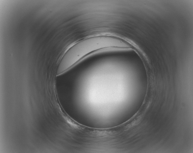 X0000062641289200512210957