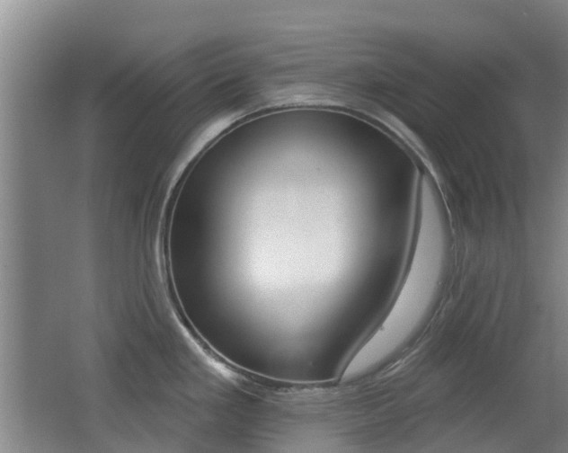 X0000062641293200512210957