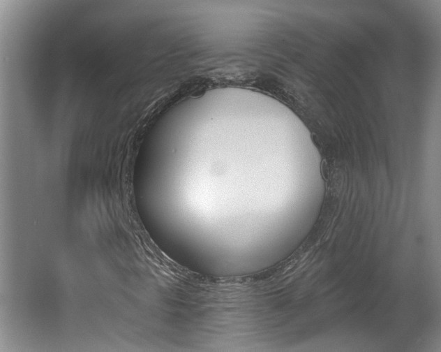 X0000062641297200512210956