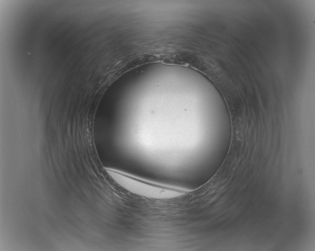 X0000062641298200512210956