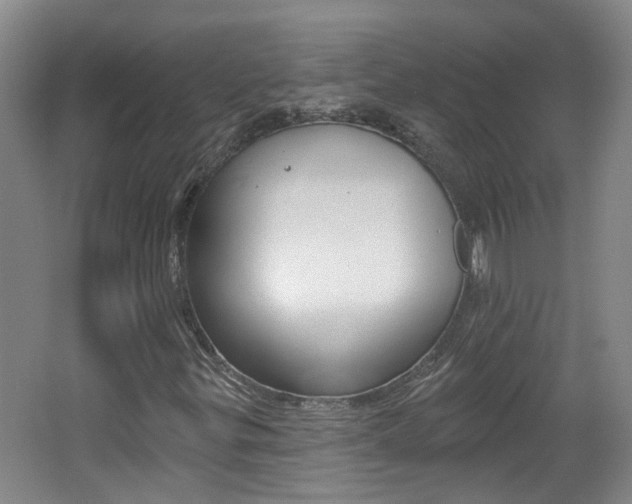 X0000062641299200512210956