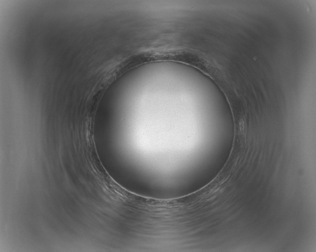 X0000062641300200512210956