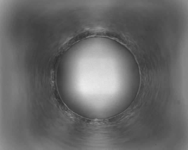 X0000062641301200512210956