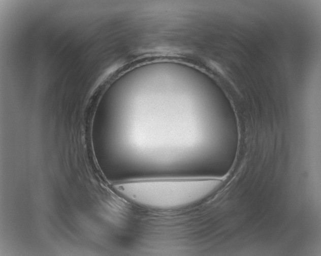 X0000062641307200512210957