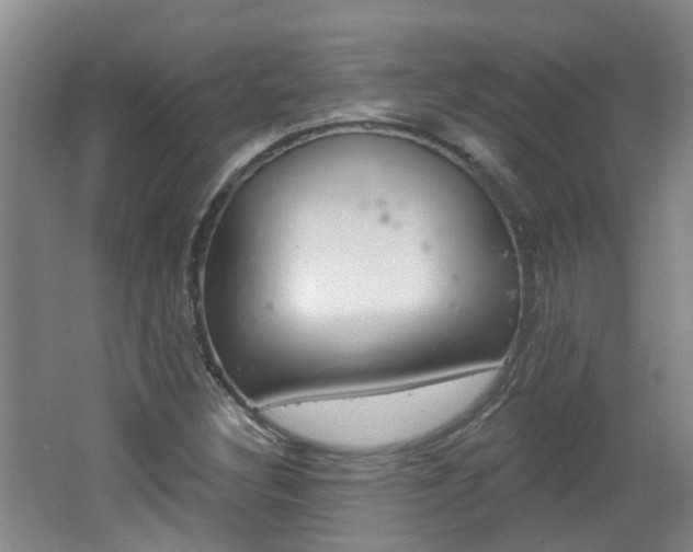 X0000062641308200512210957
