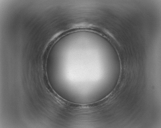 X0000062641315200512210957