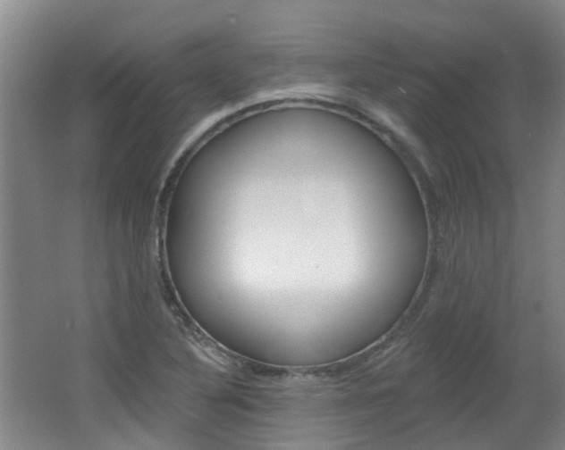 X0000062641316200512210957