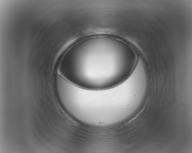 X0000062641317200512210957