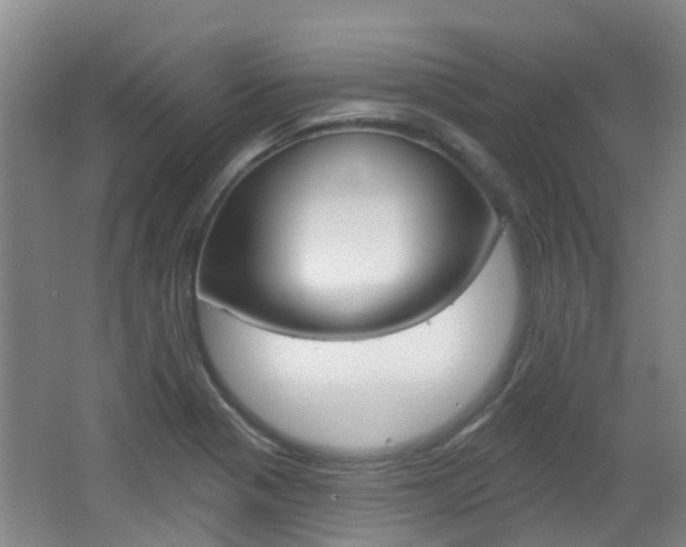 X0000062641321200512210957