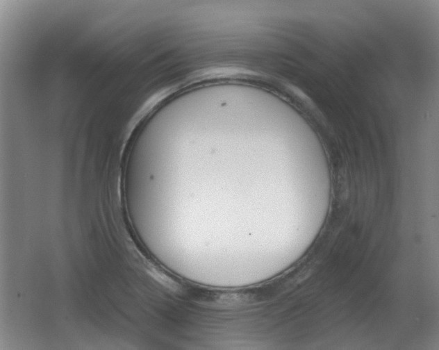 X0000062641322200512210957
