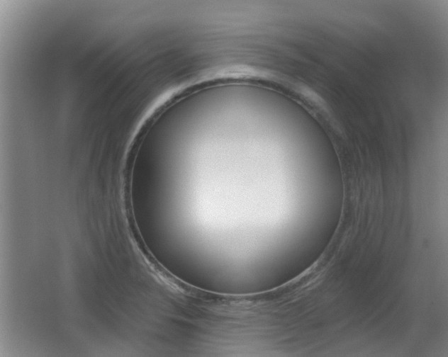 X0000062641326200512210957