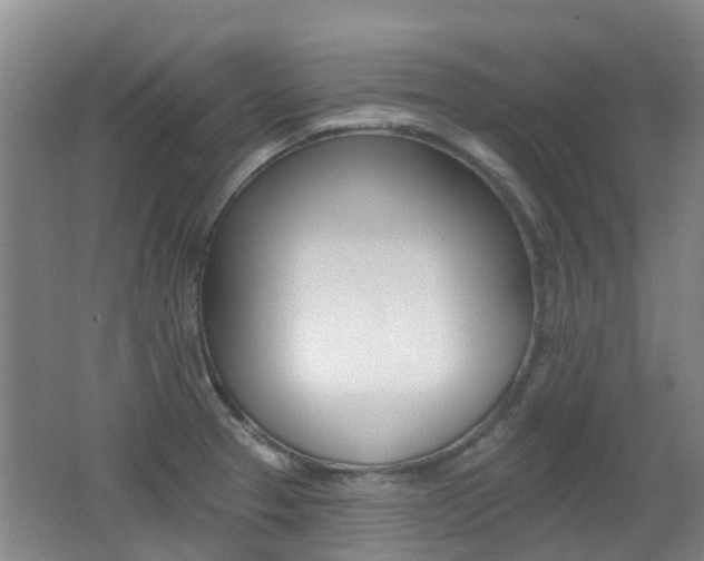 X0000062641329200512210957