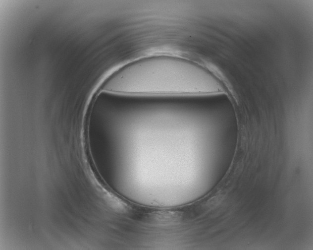 X0000062641331200512210957
