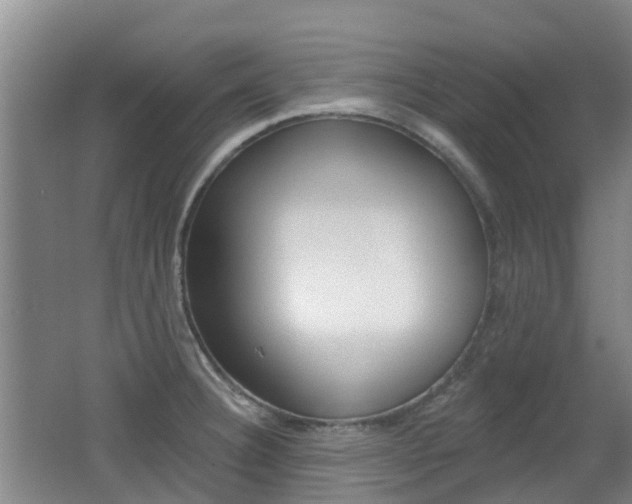 X0000062641332200512210957