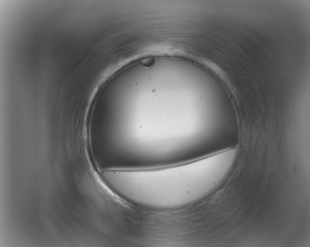 X0000062641335200512210957