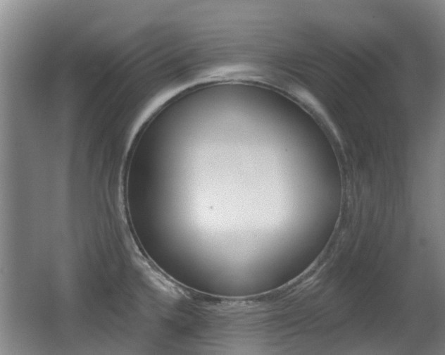 X0000062641336200512210957