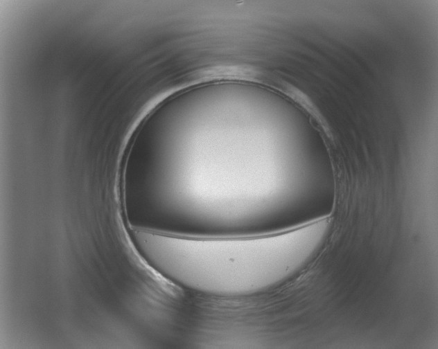 X0000062641339200512210957