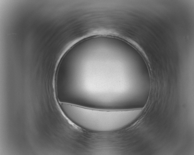 X0000062641343200512210957