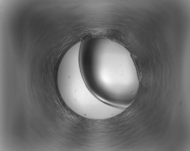 X0000062641345200512210956