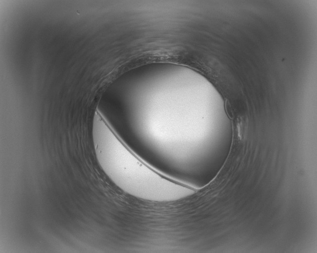 X0000062641347200512210956