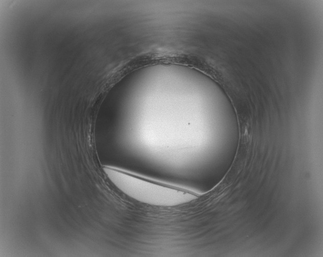 X0000062641348200512210956
