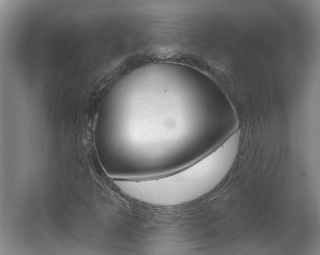 X0000062641349200512210956