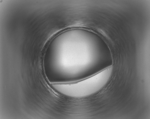 X0000062641356200512210956