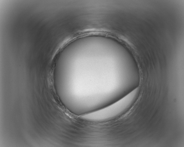 X0000062641357200512210956