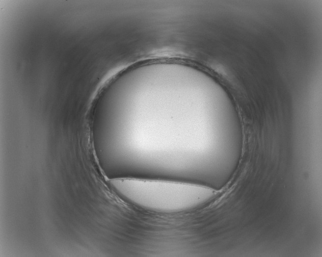 X0000062641358200512210956