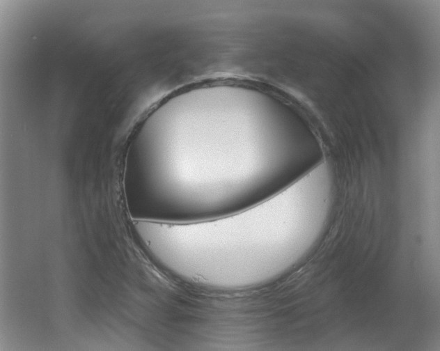X0000062641359200512210956