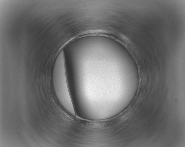 X0000062641361200512210956