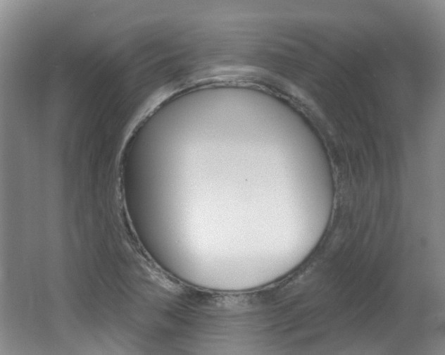 X0000062641362200512210956