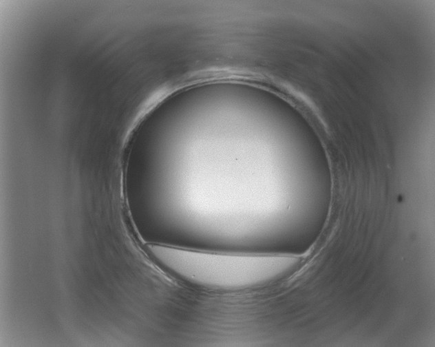 X0000062641365200512210956