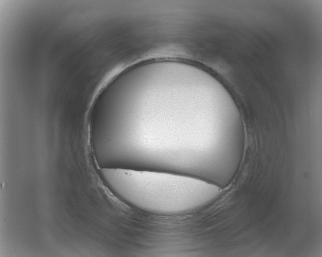 X0000062641366200512210956