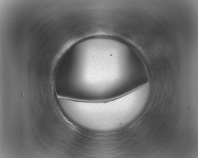 X0000062641367200512210956