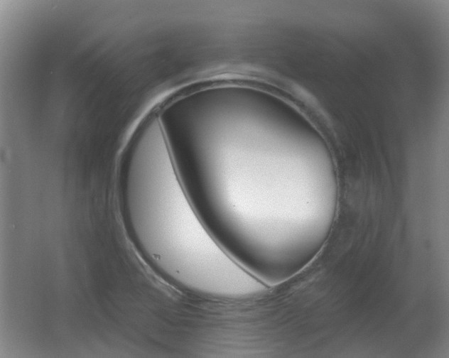 X0000062641368200512210956