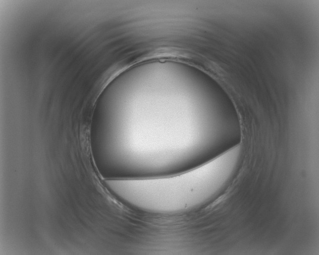X0000062641369200512210956